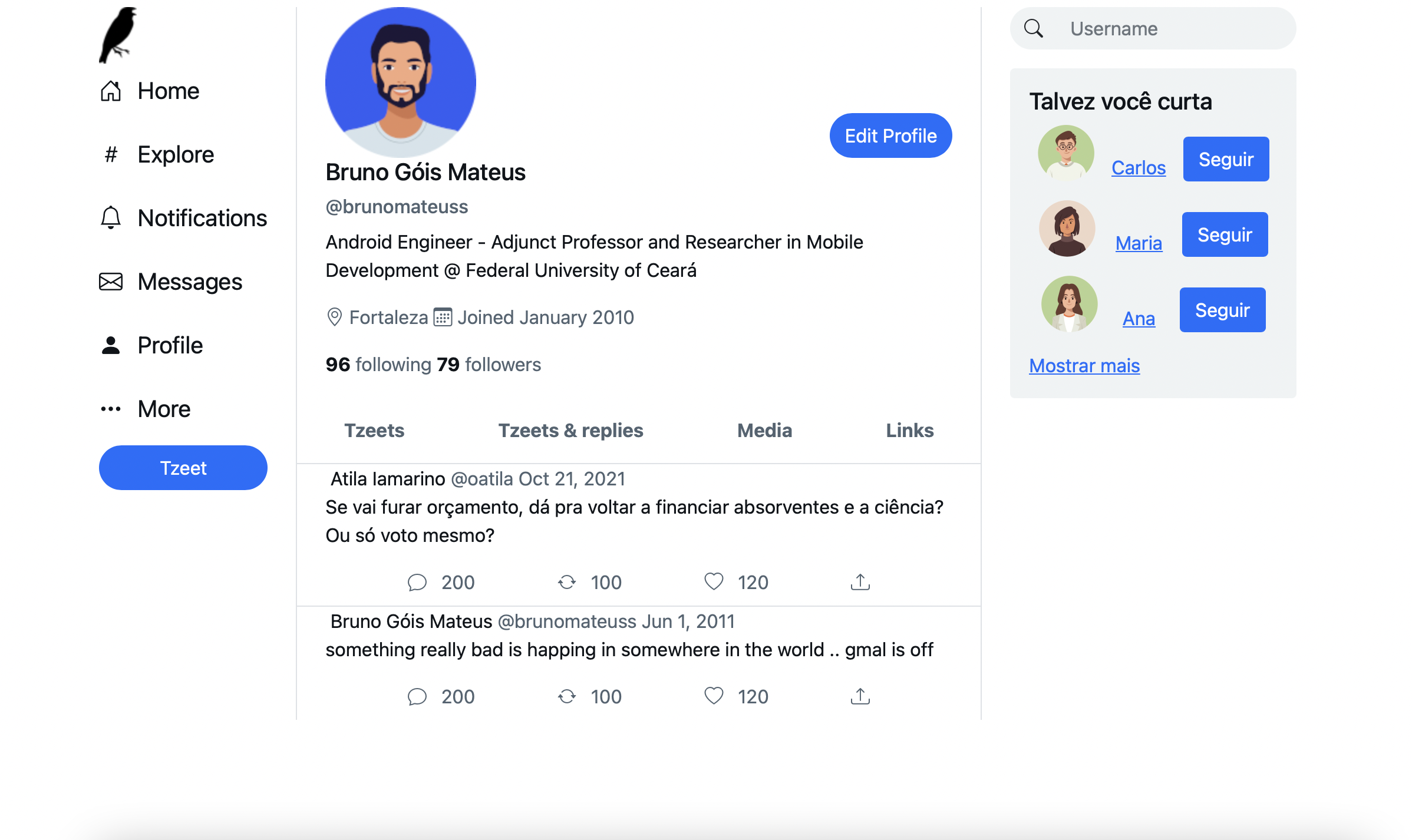 Página de um perfil no Tzeeter